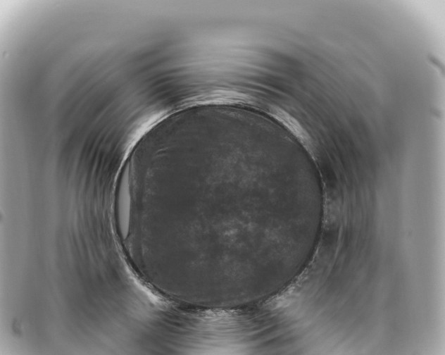 X0000095900850200801251223