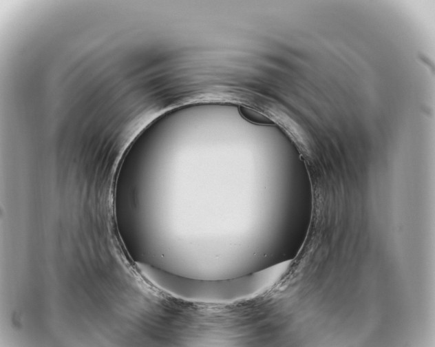 X0000095900852200801251223