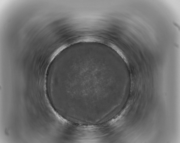 X0000095900853200801251223