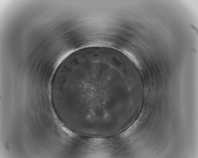 X0000095900854200801251223