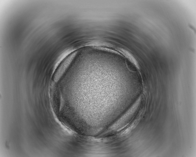 X0000095900855200801251223