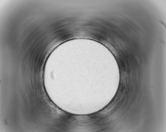 X0000095900856200801251223