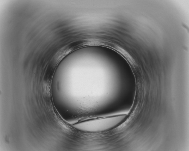 X0000095900857200801251223