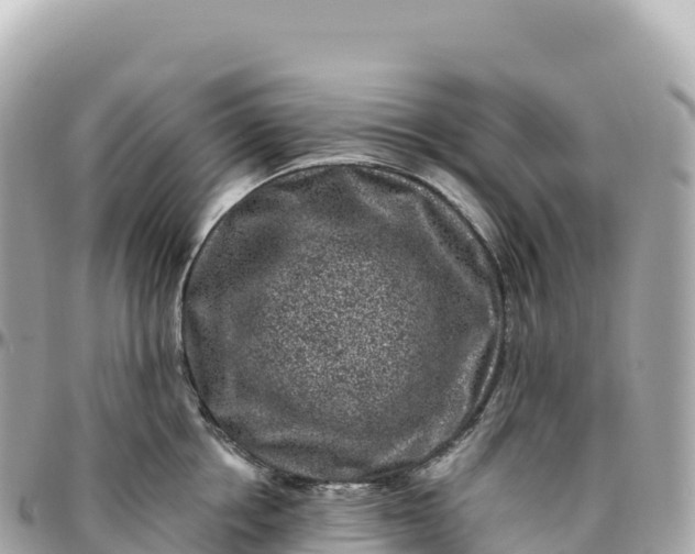 X0000095900858200801251223