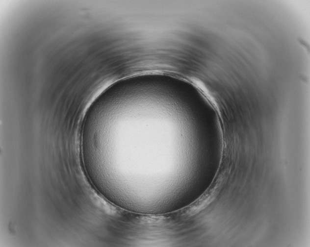 X0000095900859200801251223