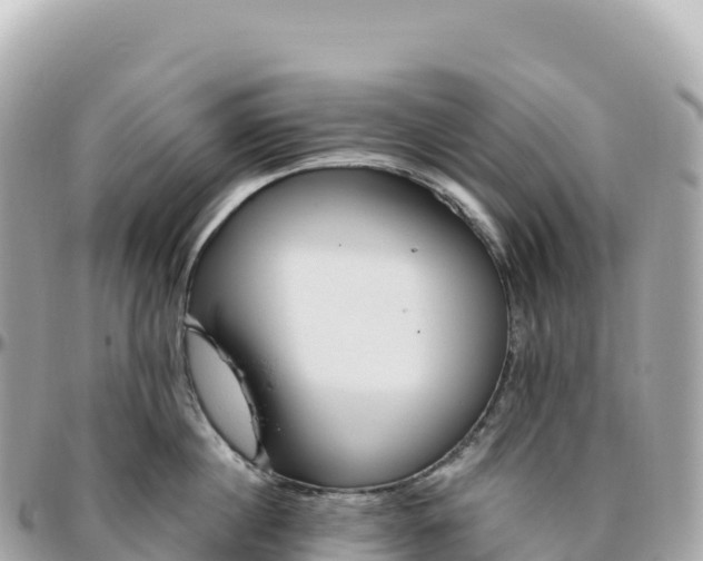 X0000095900860200801251223