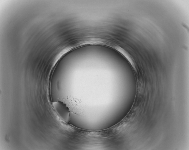 X0000095900861200801251223