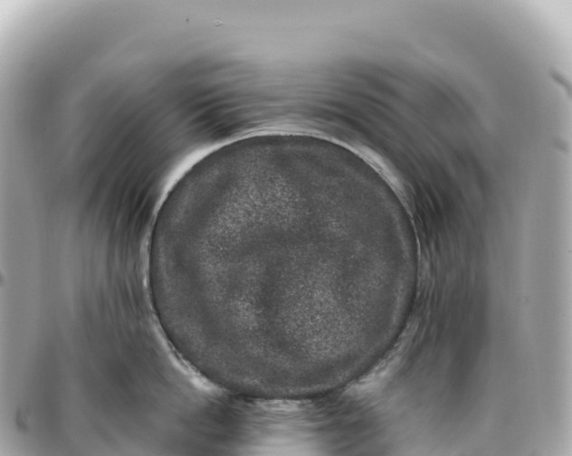 X0000095900862200801251223