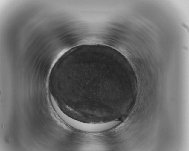 X0000095900864200801251223