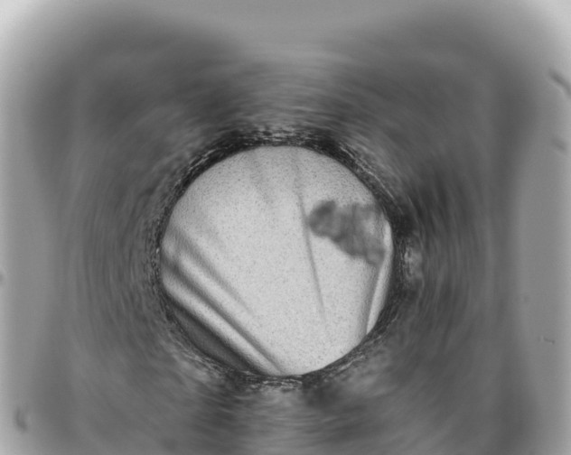 X0000095900865200801251222