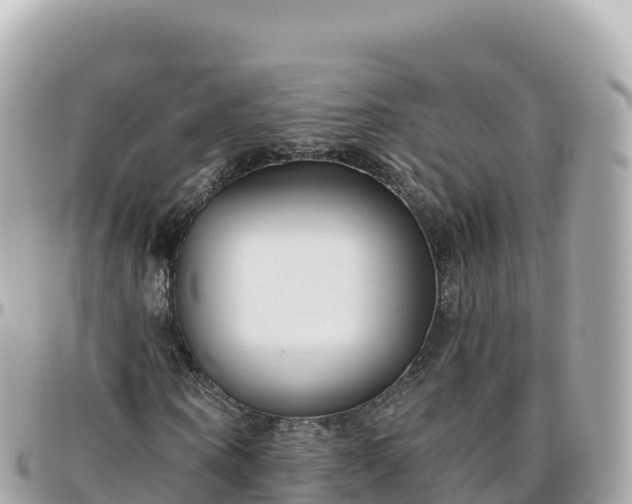 X0000095900866200801251222