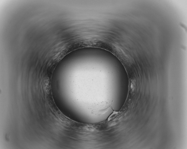 X0000095900867200801251222