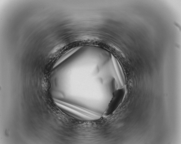 X0000095900869200801251222