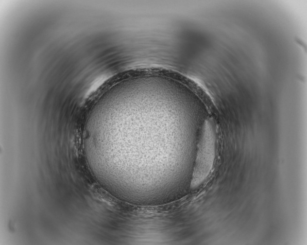 X0000095900871200801251222