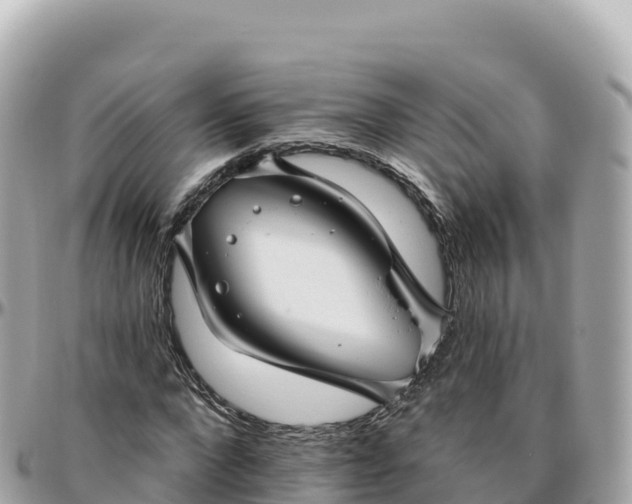 X0000095900872200801251222