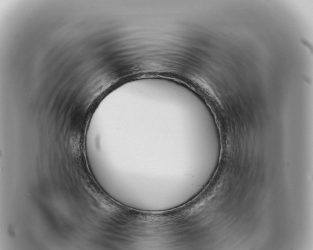 X0000095900873200801251222