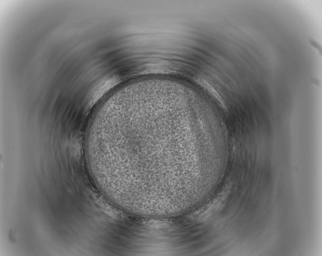 X0000095900874200801251222