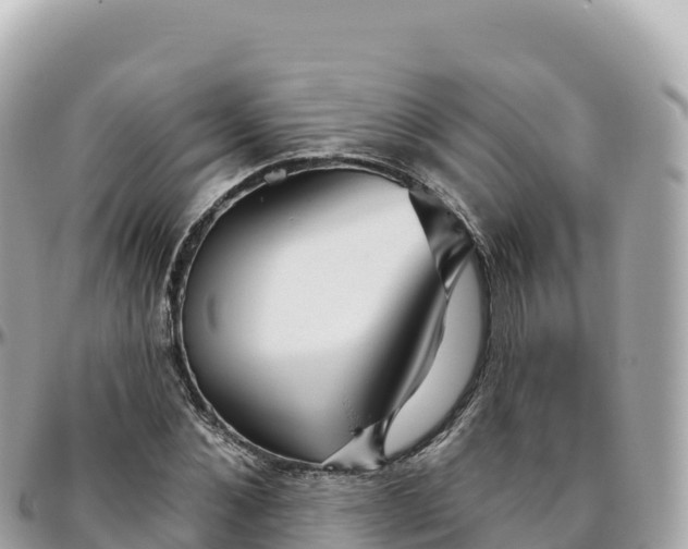 X0000095900876200801251222