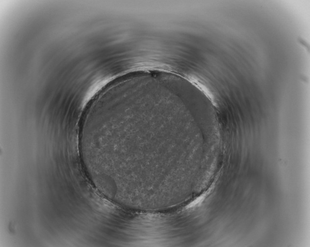 X0000095900877200801251222