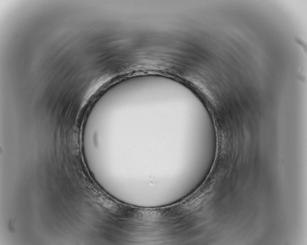 X0000095900878200801251222