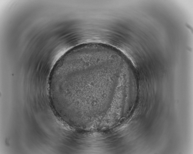 X0000095900879200801251222