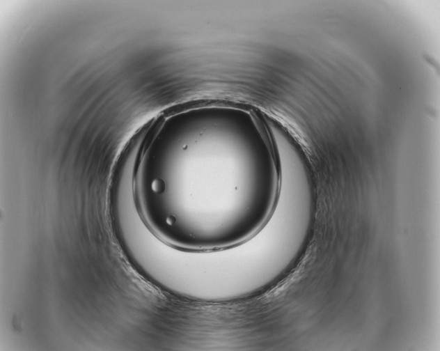 X0000095900880200801251222