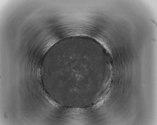 X0000095900881200801251222