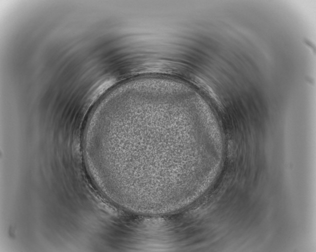 X0000095900882200801251222