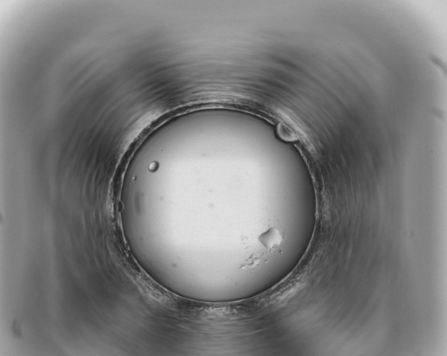 X0000095900883200801251222