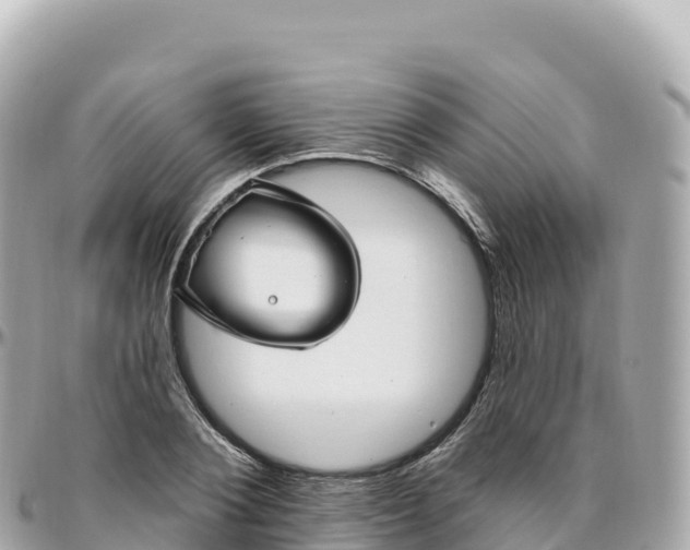 X0000095900884200801251222