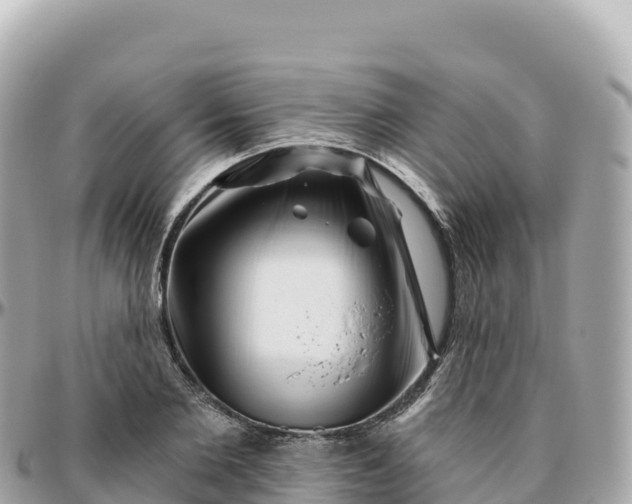 X0000095900885200801251222