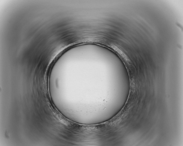 X0000095900886200801251222