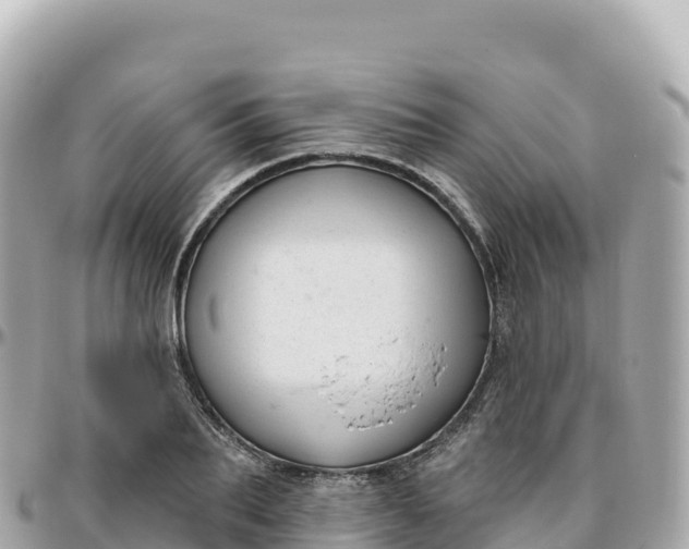 X0000095900887200801251222