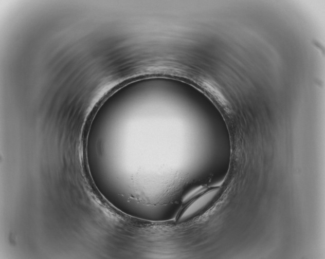 X0000095900888200801251222