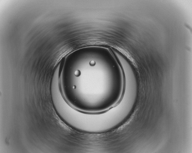 X0000095900889200801251222