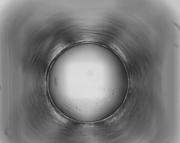 X0000095900890200801251222