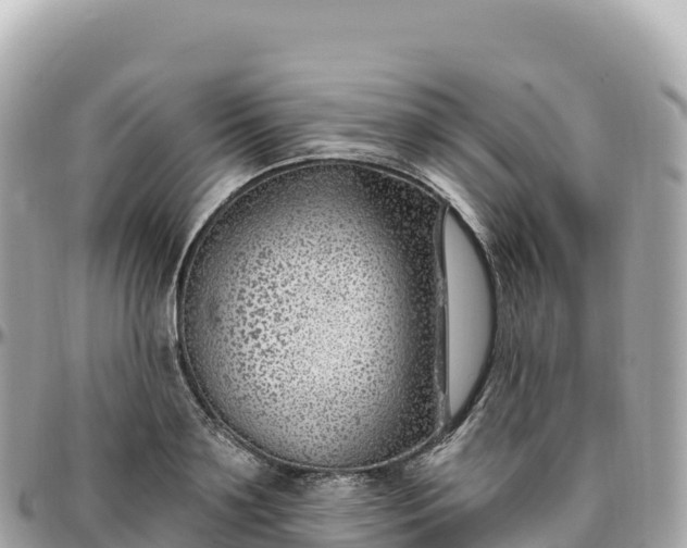 X0000095900891200801251222