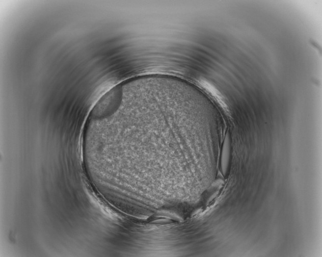 X0000095900892200801251222