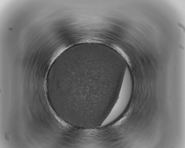 X0000095900893200801251222