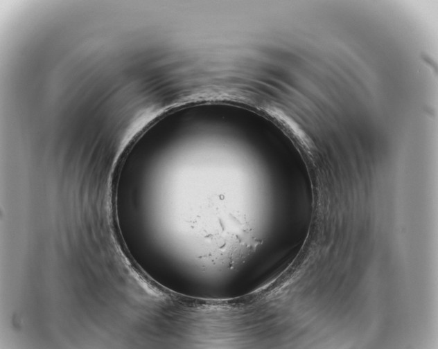 X0000095900894200801251222