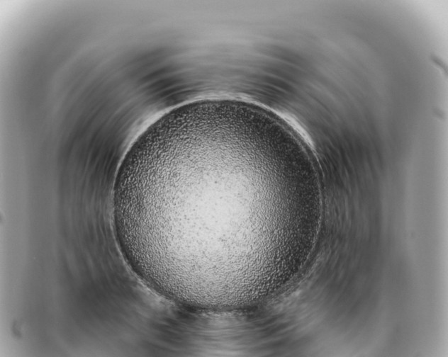 X0000095900895200801251222