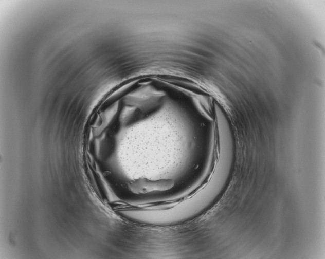 X0000095900896200801251222