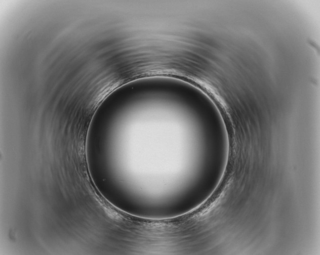 X0000095900897200801251222