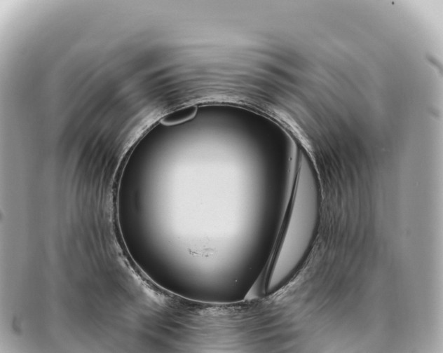 X0000095900898200801251222