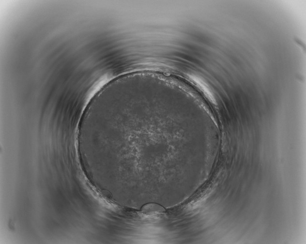 X0000095900899200801251222