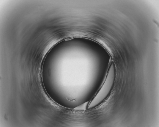 X0000095900901200801251222