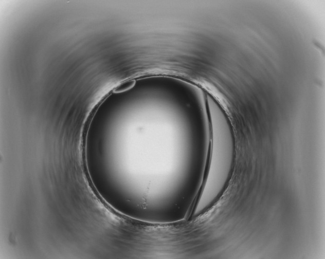 X0000095900902200801251222