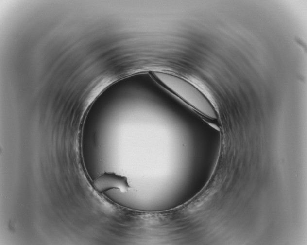 X0000095900906200801251221