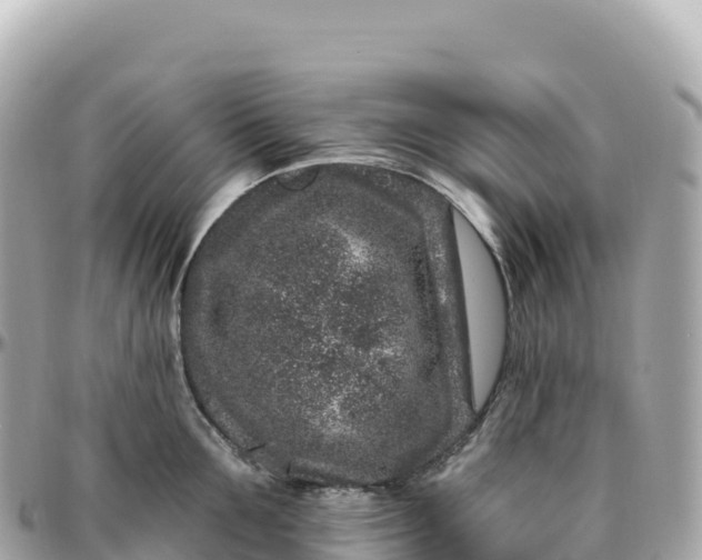 X0000095900907200801251221