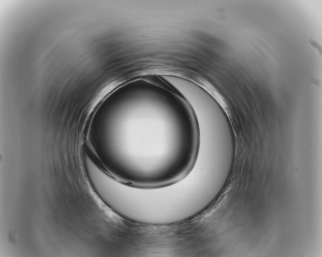 X0000095900909200801251221